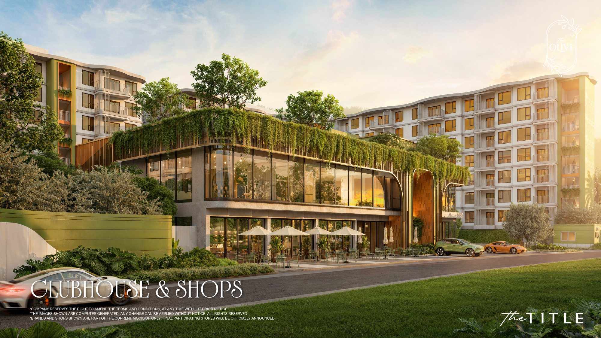 The Olive — 5