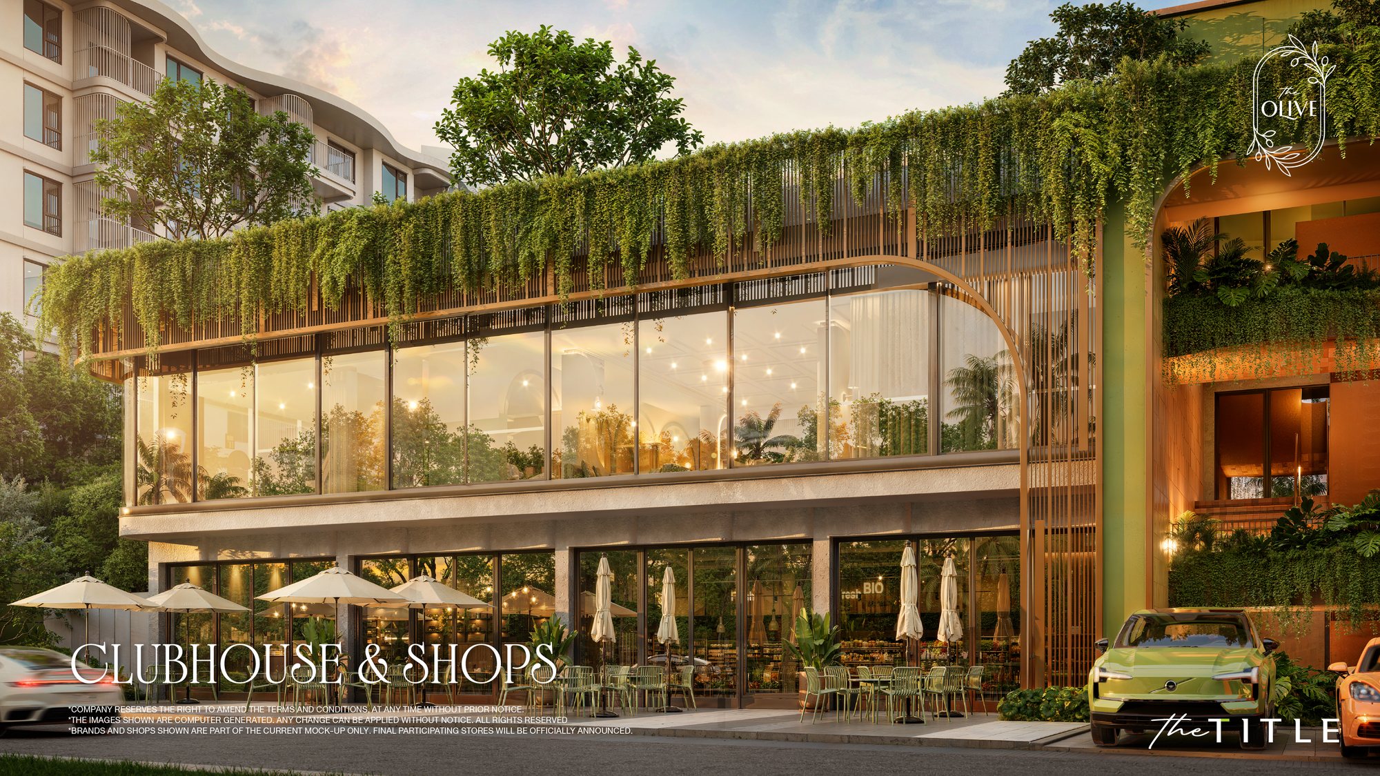The Olive — 6