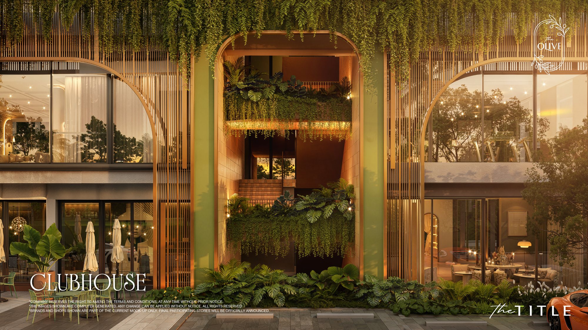 The Olive — 7